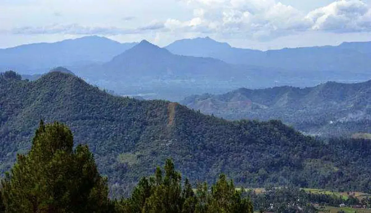 Wisata Camping dan Hiking di Pegunungan Bukit Barisan: Pesona Alam yang Tak Terlupakan (Sumber: google.com | Foto: homecare24.id)