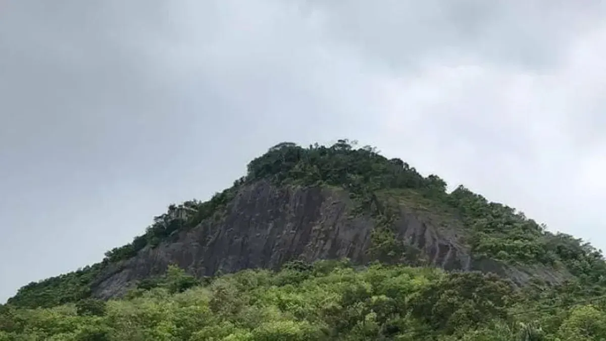 Bukit Botak: Destinasi Hiking Favorit untuk Menikmati Sunrise dan Sunset (Sumber: google.com | Foto: linggaupos.disway.id)