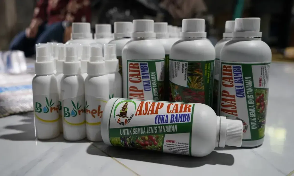Cuka Bambu (Sumber: Istimewa)