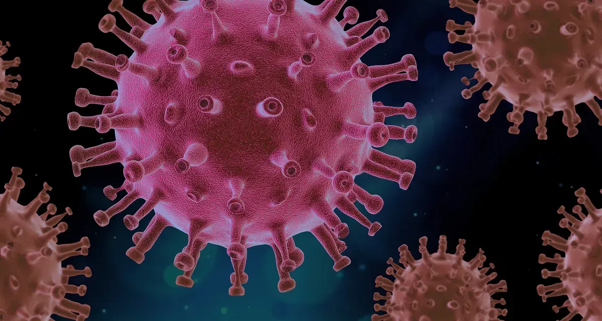 Ilustrasi Virus (Sumber: Pixabay)