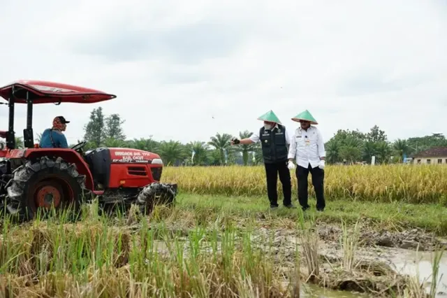 Minim Petani Muda, Sumsel Andalkan Program Brigade Pangan untuk Jaga Produksi Padi Nasional