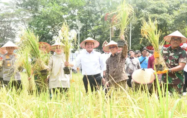 Sumsel Masuk 5 Besar Produsen Pangan Nasional, Herman Deru Dorong Intensifikasi