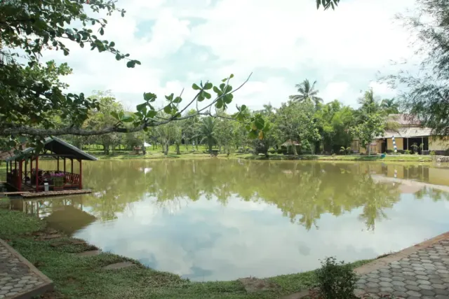 Mengenal Sembawa Agropark: Wisata Alam Edukatif di Tengah Perkebunan Teh dan Karet