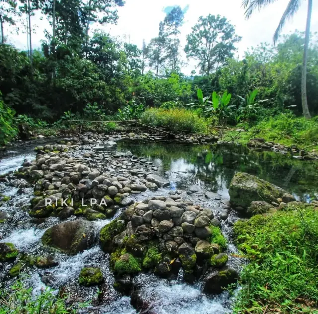 Pemandian Puyang Putri: Wisata Sejarah dan Alam yang Sarat Legenda
