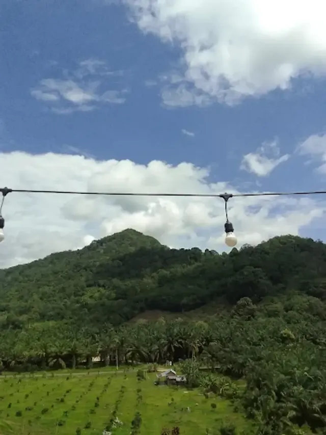 Pesona Pisek Kite Park: Destinasi Wisata Seru untuk Pecinta Rekreasi Alam dan Layang-Layang