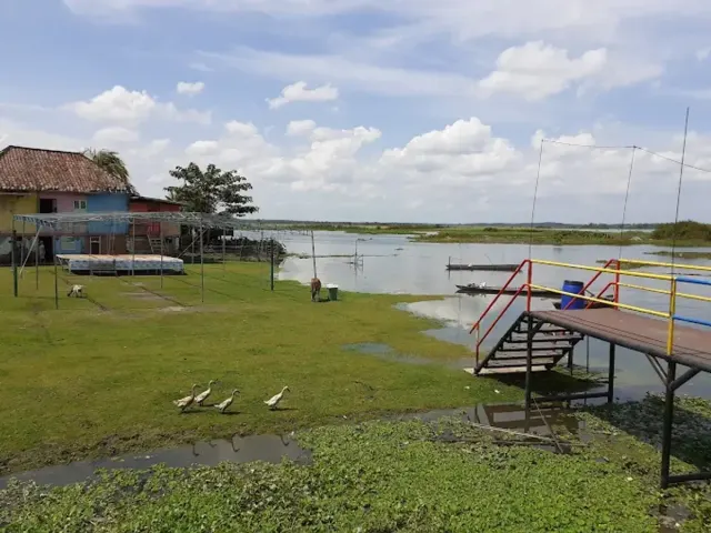 Desa Wisata Kampung Warna Burai: Pesona Warna-warni di Tengah Alam Sumatera Selatan