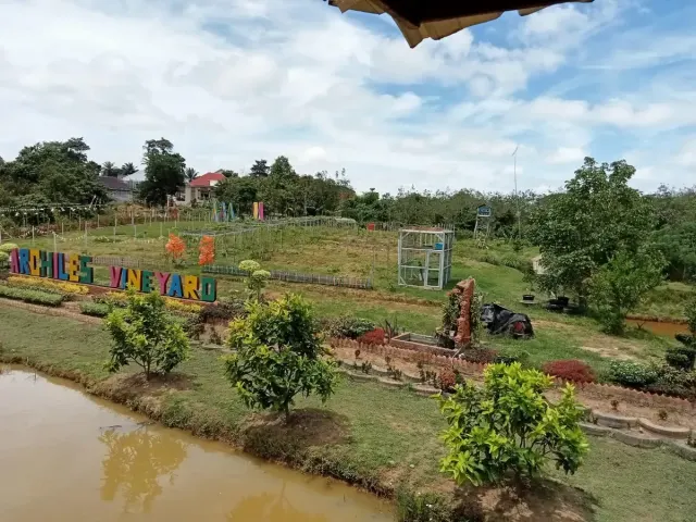 Taman Bunga Archiles Vineyard: Surga Warna-warni yang Menawan dan Instagramable di Tengah Alam