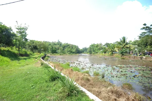 Danau Kalimancalak: Pesona Tersembunyi yang Menyejukkan Jiwa di Tengah Alam Asri