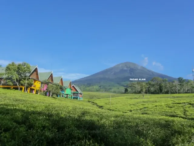 Daya Tarik Kota Pagar Alam sebagai Destinasi Wisata Alam yang Memukau di Sumatera Selatan