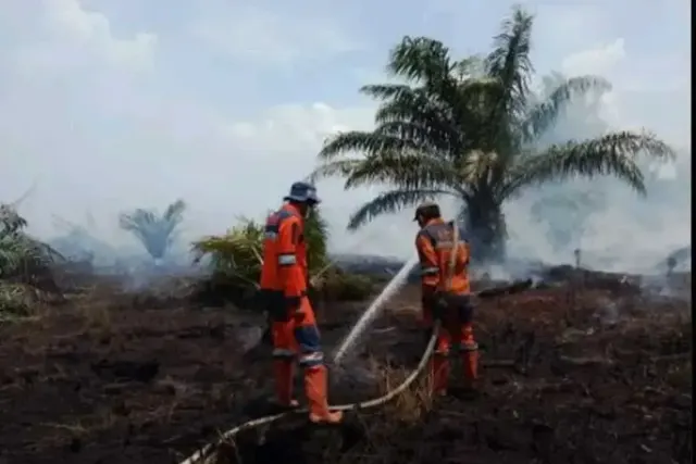 BPBD Sumsel Kerahkan Helikopter dan Tim Darat Padamkan Karhutla di OKI