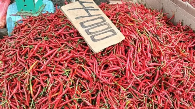 Harga Cabai Merah Tak Kunjung Turun di Palembang, Ini Penjelasan Dinas Perdagangan