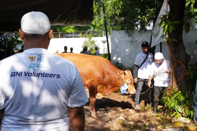 BNI Distribusikan 1.200 Hewan Kurban ke Berbagai Daerah Indonesia